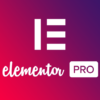 elementor pro plugin