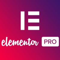 elementor pro plugin